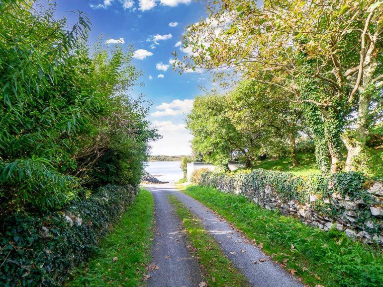 Sycamore Cottage Clifden Kültér fotó